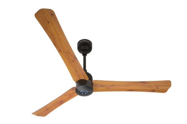 Energy efficient ceiling fan